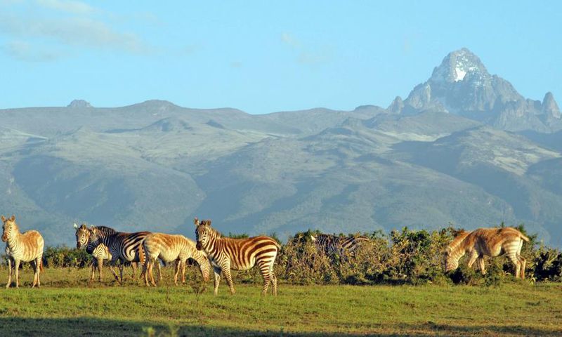 Wild animals leisurely graze at Meru National Park with Mt Kenya on the background. (meru)