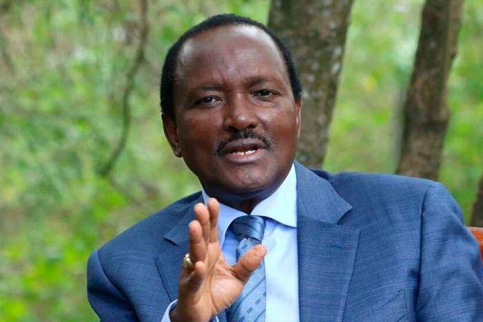 File image of Wiper leader Kalonzo Musyoka