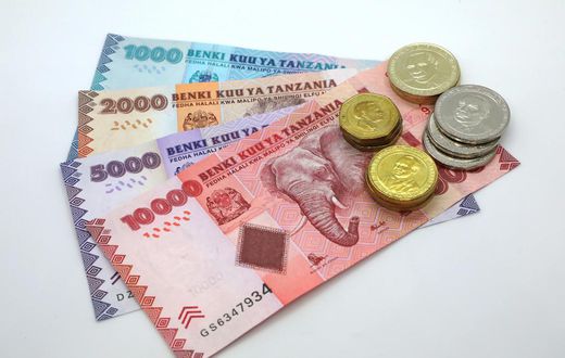 Tanzania currency
