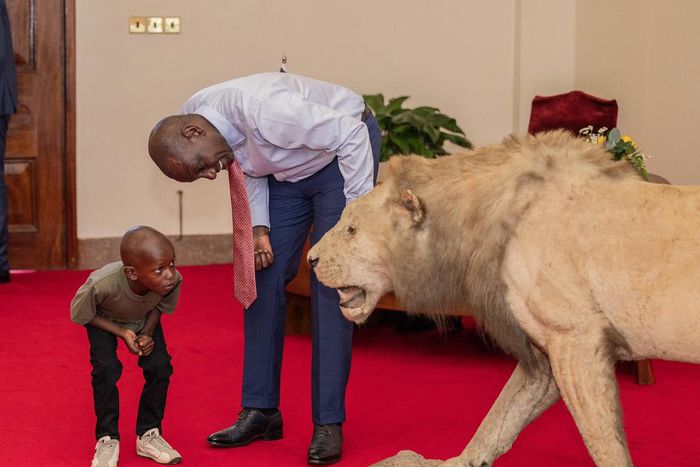 President William Ruto interacts with environmental champion Mutinda Mutuku at State House on November 28, 2023.