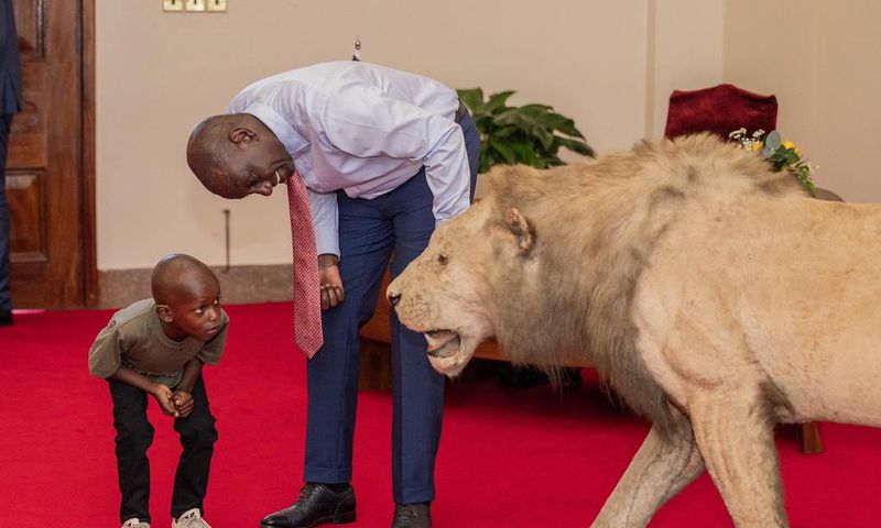 President William Ruto interacts with environmental champion Mutinda Mutuku at State House on November 28, 2023.