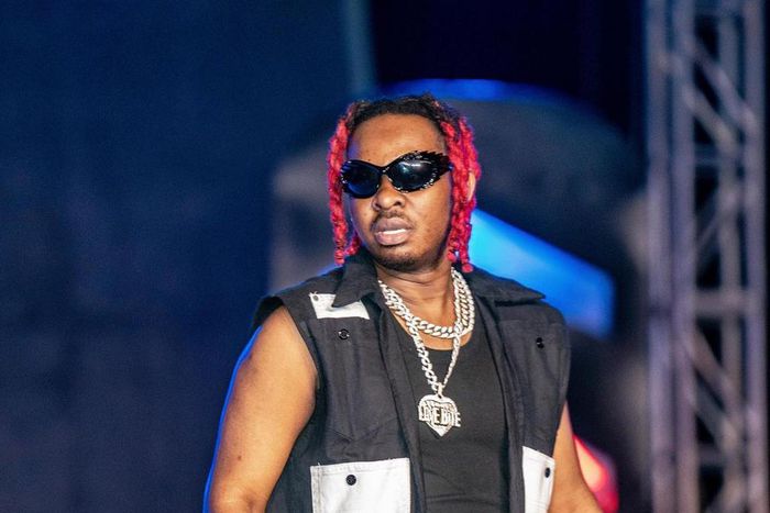 Bongo Flava star Lava Lava