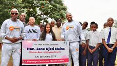 Kirinyaga Woman Rep Njeri Maina distributes 50,000 seedlings ahead of National Tree Planting Day