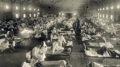 Bubonic plague caused the death of about 75 - 200 million people [Hospitalfield]