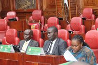 National Assembly Committee on Defence, Intelligence, and Foreign Relations during a session on April 11, 2024