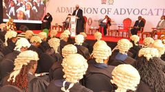A group of lawyers during admission to the bar
