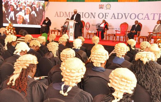 A group of lawyers during admission to the bar