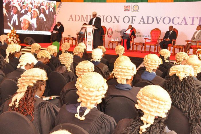 A group of lawyers during admission to the bar