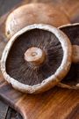 portobello mushroom [thecozyapron]