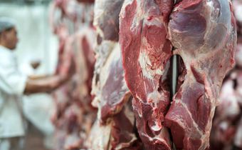 Fresh red meat in a butchery