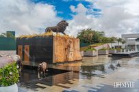 Uhuru Gardens in Lang'ata