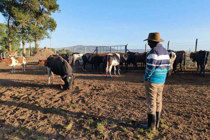 President William Ruto during a visit to his farm in Kilgoris, Narok county