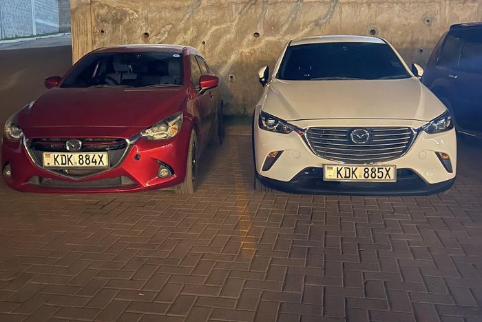 Sequential siblings: Number plate coincidences you would not believe if they were not captured on camera