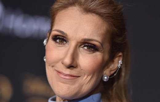 Celine Dion's sister has shared an update on her health following the cancellation of her world tour.Axelle/Bauer-Griffin/FilmMagic/Getty Images