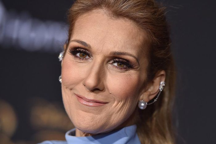 Celine Dion's sister has shared an update on her health following the cancellation of her world tour.Axelle/Bauer-Griffin/FilmMagic/Getty Images