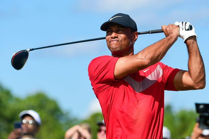 Tiger Woods announced his new "chapter" Monday at the Genesis Invitational in Los Angeles.Dante Carrer