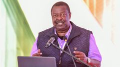 Prime Cabinet Secretary Musalia Mudavadi