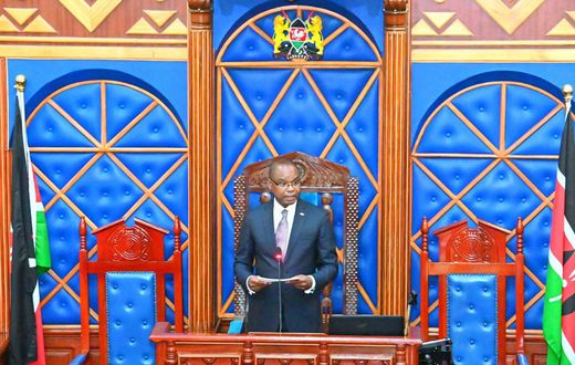 Senate Speaker Amason Kingi speaking in the Senate