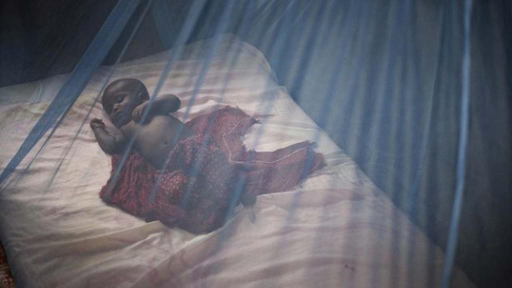 A baby under a mosquito net [Guardian]