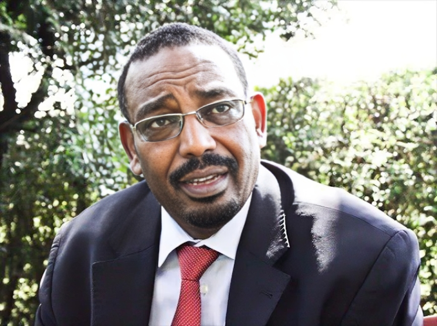 Daadab Member of Parliament Farah Maalim