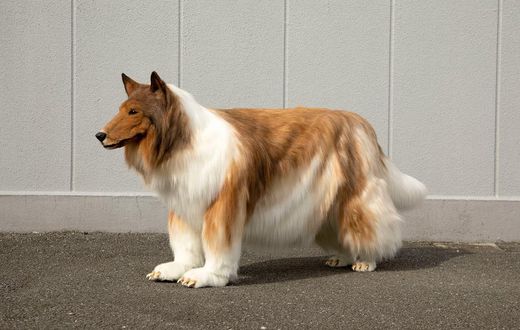 Japanese man transforms himself into a dog (courtesy twitter)