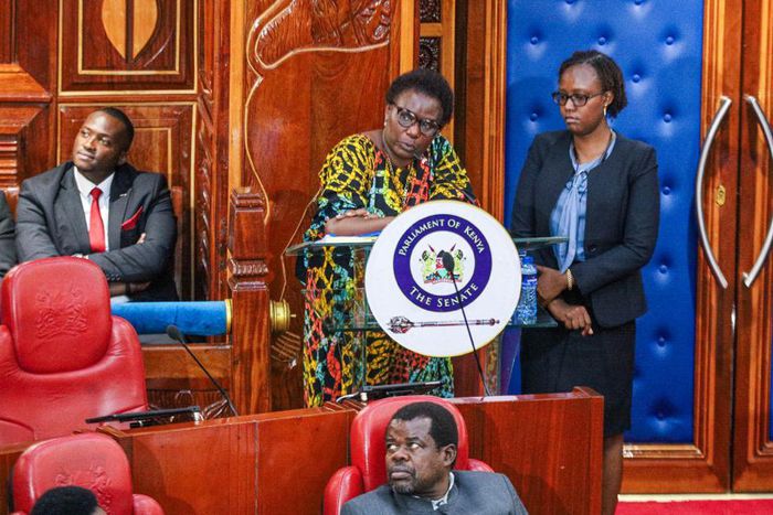 Meru Governor Kawira Mwangaza in the Senate on November 8, 2023