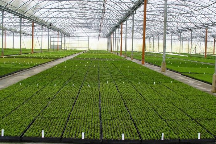 See the Zanzibar project the United States is investing Sh 2.3 billion in