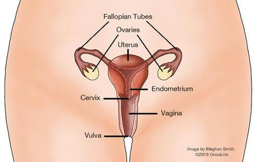 Cervical cancer