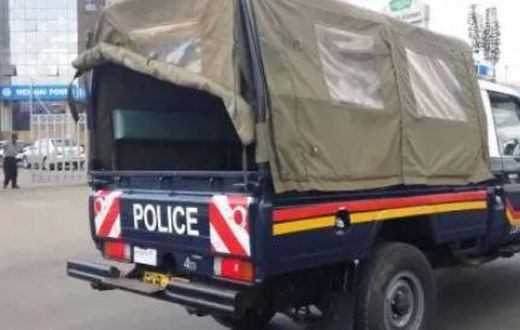 File image of a police vehicle