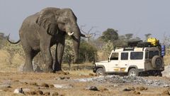 Tourists using a private vehicle during a safari