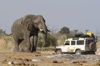 Tourists using a private vehicle during a safari