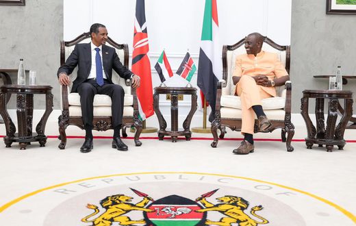 President William Ruto held talks with the RSF Leader General Mohamed Hamdan Dagalo, State House, Nairobi on January 3, 2024