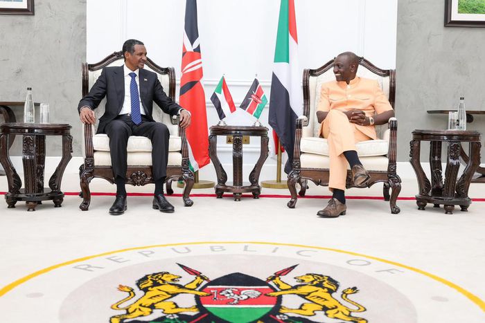 President William Ruto held talks with the RSF Leader General Mohamed Hamdan Dagalo, State House, Nairobi on January 3, 2024