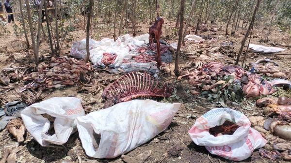 File image of donkey carcasses, meat and skin recovered from a crime scene in Limuru, Kiambu county