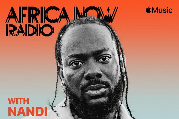 Adekunle Gold reveals how Pharrell Williams changed his life