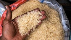 Rice