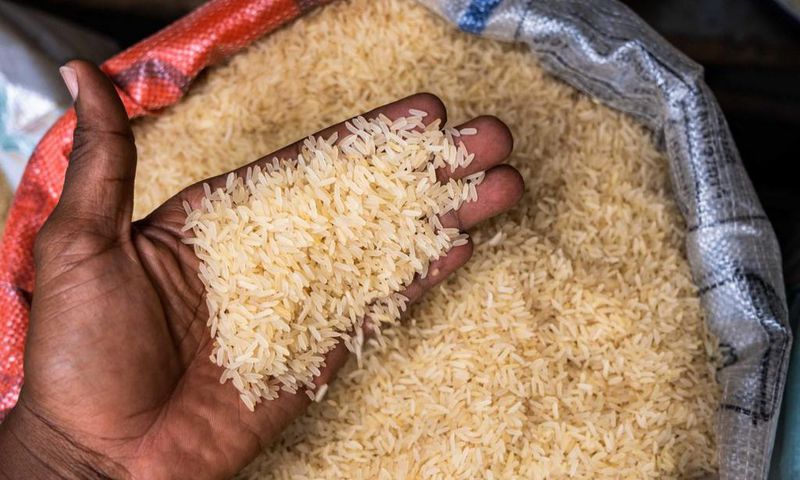 Rice