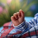 Firefly A new born baby fingers 85453