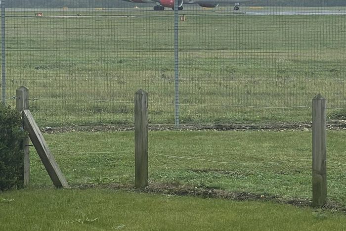 Kenya Airways plane [Image: City Digest]