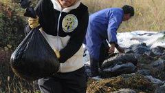 Tea farm owner, An Yanshi collecting panda poop [Shutterstock]