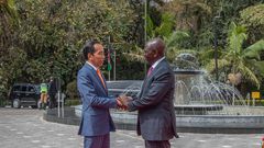 Photos from President William Ruto's meeting with President of Indonesia Joko Widodo, State House's terrace has received fresh revamp.