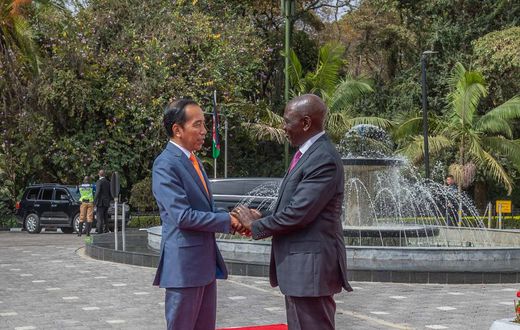 Photos from President William Ruto's meeting with President of Indonesia Joko Widodo, State House's terrace has received fresh revamp.