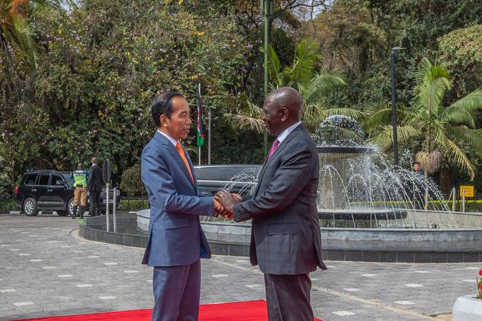 Photos from President William Ruto's meeting with President of Indonesia Joko Widodo, State House's terrace has received fresh revamp.
