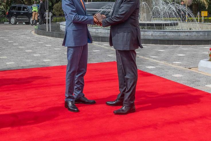 Photos from President William Ruto's meeting with President of Indonesia Joko Widodo, State House's terrace has received fresh revamp.