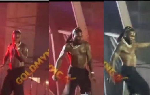 Burna Boy kicks fan off stage