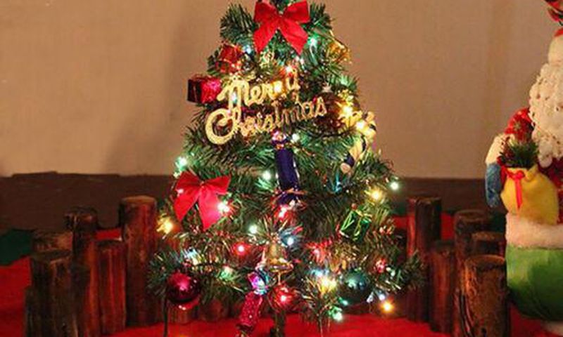 Small Christmas tree