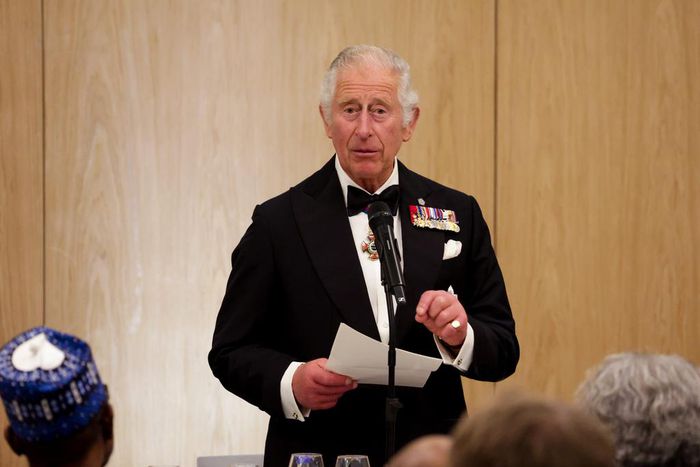 King Charles III making a speech at the Commonwealth Heads of Government Dinner at the Marriott Hotel on June 24, 2022 in Kigali, Rwanda.Chris Jackson/Getty Images