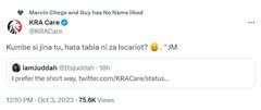 KRA's playful banter with Kenyan looking for job opportunity lights up social media