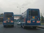 Sequential siblings: Number plate coincidences you would not believe if they were not captured on camera