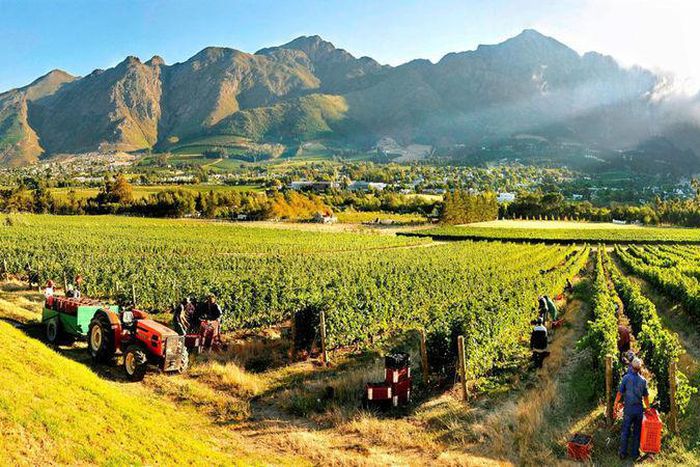 #FeatureByNarcisseNachopu